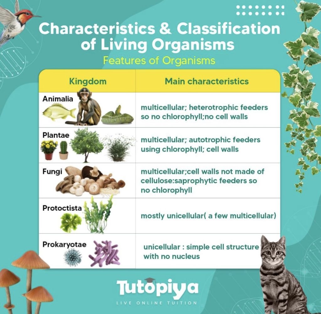 Features Of Organisms The Five Kingdoms Cambridge IGCSE Biology Tutopiya