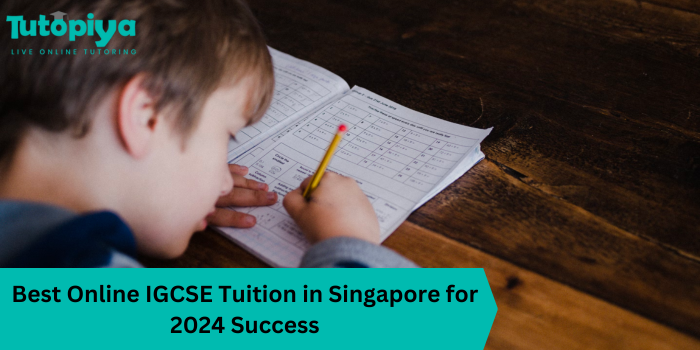 Best Online IGCSE Tuition in Singapore for 2024 Success